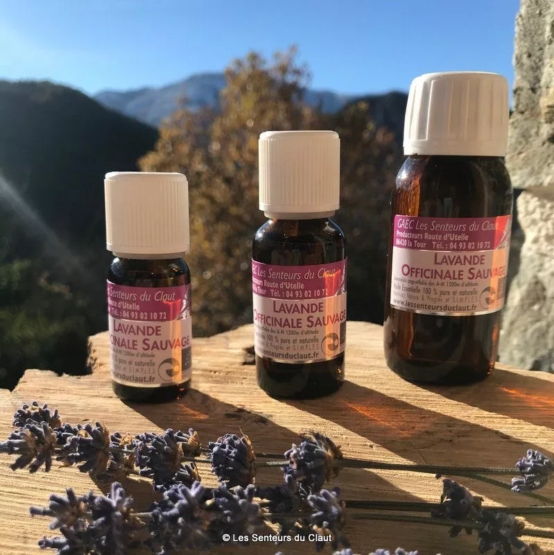 Huile essentielle BIO Lavande officinale (choix altitude)